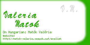 valeria matok business card