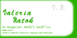 valeria matok business card